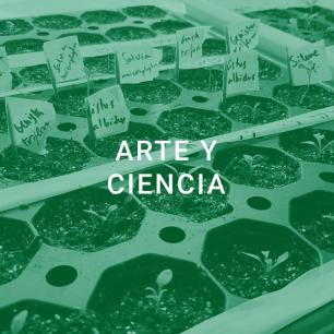 Arte y ciencia