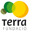 Terra fundació