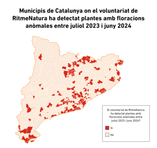 Mapa dels municipis de Catalunya on el voluntariat de RitmeNatura ha citat alteracions fenològiques entre juliol 2023 i juny 2024. Autoria: observatori RitmeNatura del CREAF.