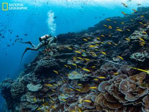 Enric Ballesteros, National Geographic