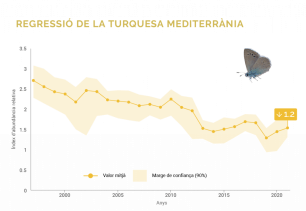 TurquesaMediterrania